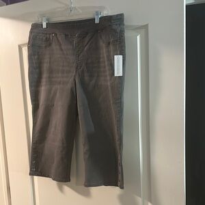 DG2 by Diane Gilman Gray Capris